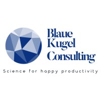Blaue Kugel Consulting logo - Similar company to Siamsec Sc