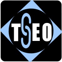 Toluaddy ✔ Global & Local SEO, ✔ Modern Search Engine Optimization Services logo - Similar company to Abstergo Technologies