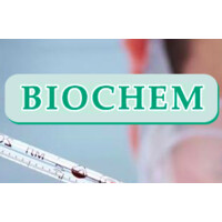 Biochem s.a.s logo - Similar company to Thor Sud