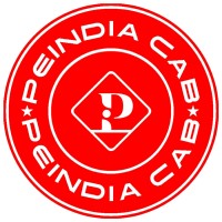 Peindia Cabs logo - Similar company to Paybuzz