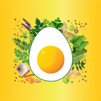 eEgg Shop logo - Similar company to Healhub