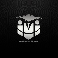 Black Sky Squad logo - Similar company to Every Clicks