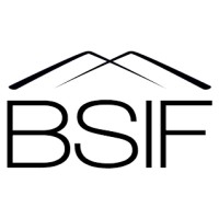 Bocconi Students Investment Fund logo - Similar company to Shipping, Energy & Geopolitics B.S.A.