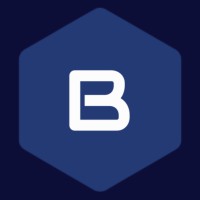 Bord Consulting logo - Similar company to Multinear