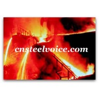 cnsteelvoice.com logo - Similar company to Bca Sa Group