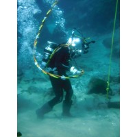 Logan Diving & Salvage logo - Similar company to In Depth, Inc.