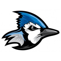 Ann Arbor Blue Jays Lacrosse logo - Similar company to The Premier Lacrosse Group
