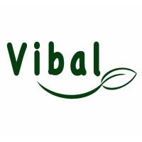 Vibal logo - Similar company to Aser Promotora