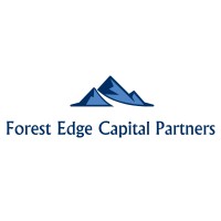 Forest Edge Capital Partners, LLC logo - Similar company to Prototype Thinking Labs