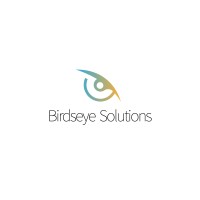 Birdseye Solutions Inc. logo - Similar company to Birdseye Solutions Inc.