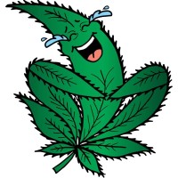 Camp Laughing Grass logo - Similar company to Operator Academy