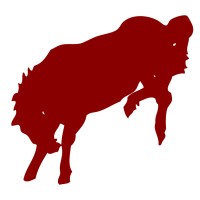 Red Pony | Communications