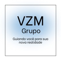 VZM Grupo logo - Similar company to Whirlpower Enterprise Co., Ltd.
