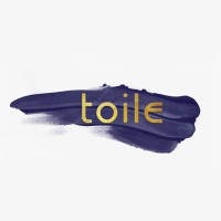 toile logo - Similar company to Shahin Art Academy