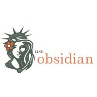 Obsidian Banking logo - Similar company to The Baas Association