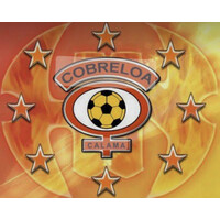 Cobreloa S.A.D.P. logo - Similar company to Coquimbo Unido Sadp