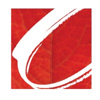Christie Ash Ltd logo - Similar company to Awk Engineers Ltd