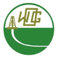 WOG Allied Services Nigeria Limited logo - Similar company to Service