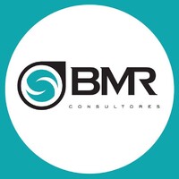 BMR Consultores logo - Similar company to Bioxor