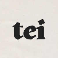 The Earth Issue logo - Similar company to It'S Freezing In La!