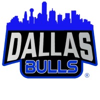 Dallas Bulls logo - Similar company to Pan Ector Industries Llc