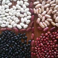 RIZHAO CITY ZHAIHAI TRADING CO.,LTD logo - Similar company to Php Imex Co., Ltd.