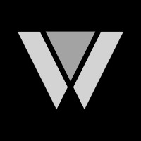 Meta Wise logo - Similar company to Hologorod