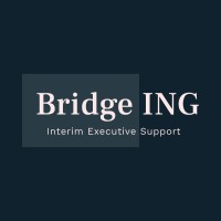 Bridge-ING Ltd logo - Similar company to Orbit 21 Consulting Ltd