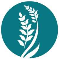 Beyond Technology STC®/CDS® logo - Similar company to Kemtek - Applied Nanotechnology