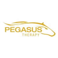 Pegasus Therapy logo - Similar company to Raz Design