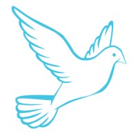 FLY Foundation logo - Similar company to Fun Learning Youth Foundation