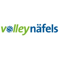 Volley Näfels logo - Similar company to Glarena