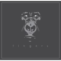 Fingers Branding Agency