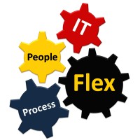 Flex LLC logo - Similar company to Libercloud