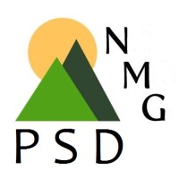 Nmg Professional Services Division