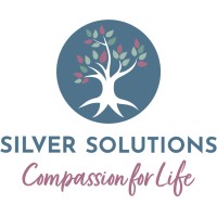 Silver Solutions logo - Similar company to Silver Solutions