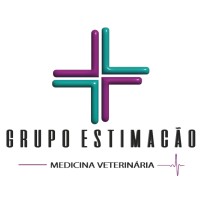 Grupo Estimacão logo - Similar company to Colher De Patas