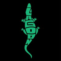 Lagoon design