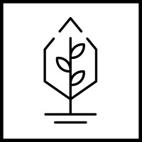 Seed Through Series logo - Similar company to Champ Chic