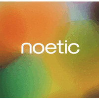 Noetic Consultancy Ltd logo - Similar company to Fronesys
