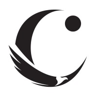 Condor Group Limited logo - Similar company to Net Tech Group Ltd