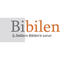 Bibilen - İş Zekâsını Bibilen'e sorun logo - Similar company to Bibilen