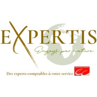 Expertis logo - Similar company to Expertis Solutions Inc.