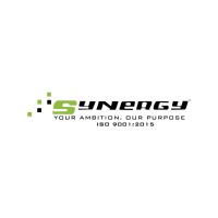 Synergy Staffing & Consultancy Services Pvt. Ltd. logo - Similar company to Dygitech