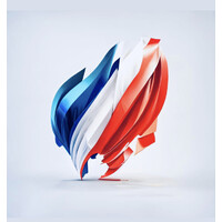 French American Alliance logo - Similar company to French Language Salon
