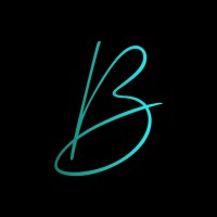BWS logo - Similar company to Digitrek.Ae
