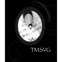 TMS Visionary Group logo - Similar company to Learning Interventions