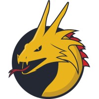 Dragon Zap logo - Similar company to Electrical Exams