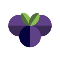The Media Grape logo - Similar company to Upraw Media