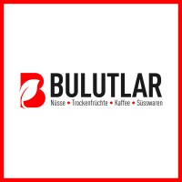 Bulutlar GmbH logo - Similar company to Burtan